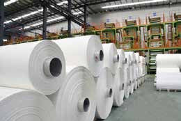 Ligne de papier d'extrusion de feuille de pierre de PE