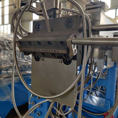 1000kg/h l'amidon de PLA PBAT a rempli bio ligne de composition en plastique