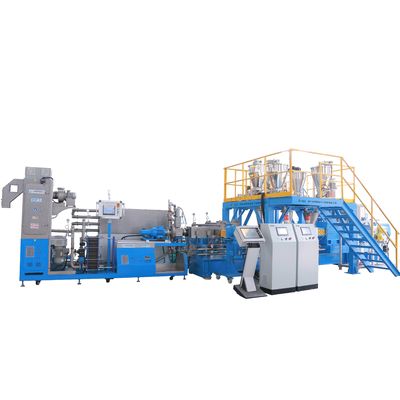 1000kg/h l'amidon de PLA PBAT a rempli bio ligne de composition en plastique
